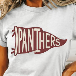 Panthers Pennant Graphic Tee
